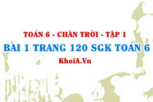 Bài 1 trang 120 SGK Toán 6 Tập 1 Chân trời sáng tạo
